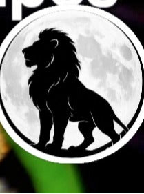 Arabian coffee plant 8 inch organic lionsandmoons free shipping plus gifts